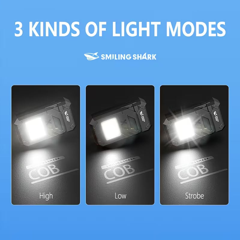 Taskulamp koos süütajaga